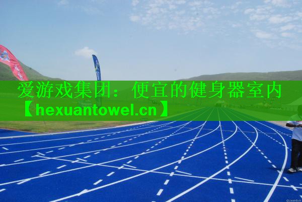 爱游戏集团：便宜的健身器室内